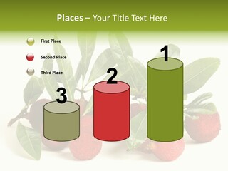 Leaf Waxberry Gourmet PowerPoint Template