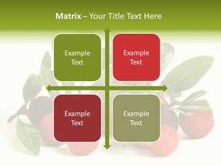 Leaf Waxberry Gourmet PowerPoint Template