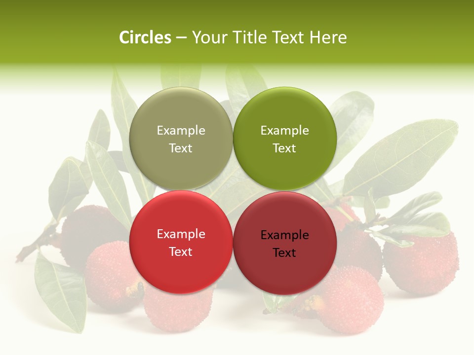Leaf Waxberry Gourmet PowerPoint Template