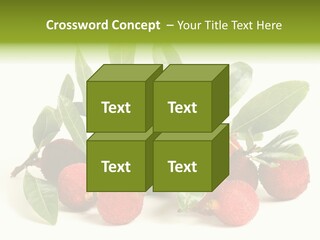 Leaf Waxberry Gourmet PowerPoint Template