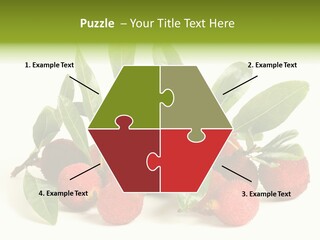 Leaf Waxberry Gourmet PowerPoint Template