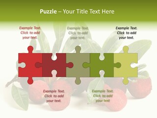 Leaf Waxberry Gourmet PowerPoint Template