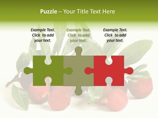 Leaf Waxberry Gourmet PowerPoint Template