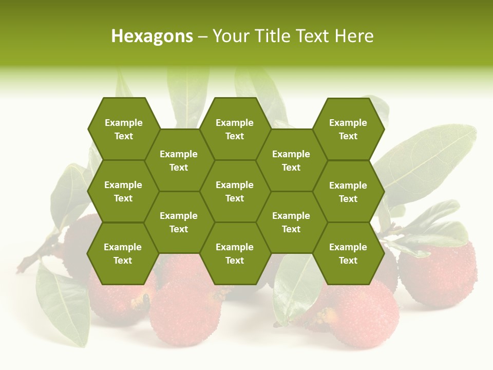 Leaf Waxberry Gourmet PowerPoint Template