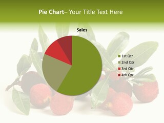 Leaf Waxberry Gourmet PowerPoint Template