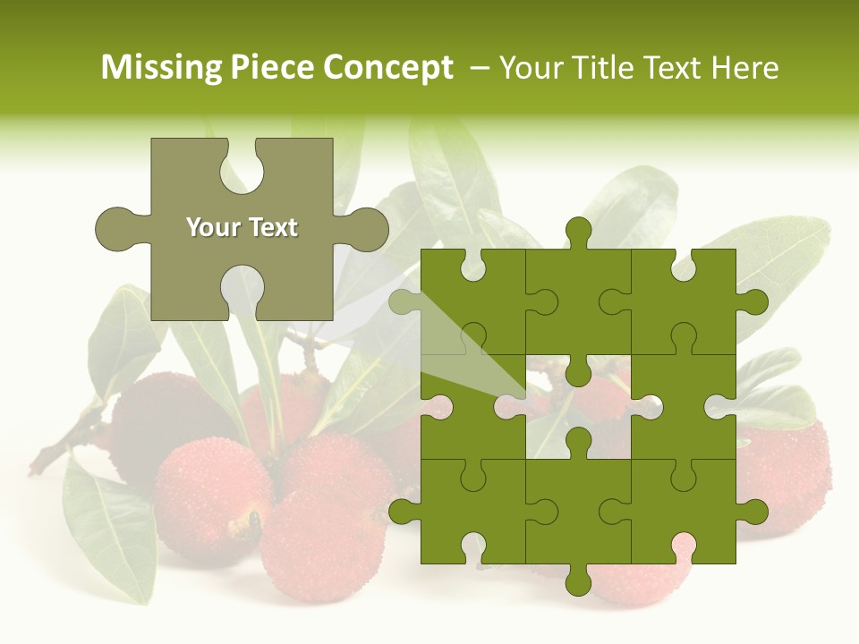Leaf Waxberry Gourmet PowerPoint Template