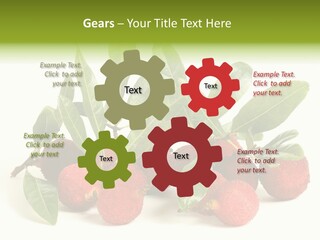 Leaf Waxberry Gourmet PowerPoint Template
