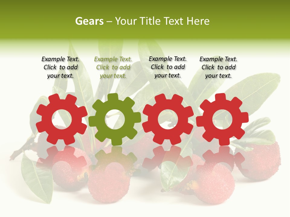 Leaf Waxberry Gourmet PowerPoint Template