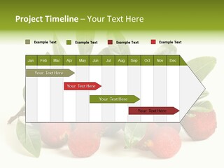 Leaf Waxberry Gourmet PowerPoint Template