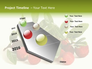 Leaf Waxberry Gourmet PowerPoint Template