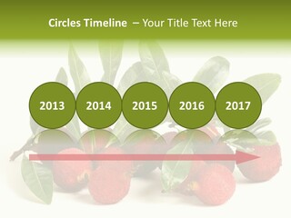 Leaf Waxberry Gourmet PowerPoint Template