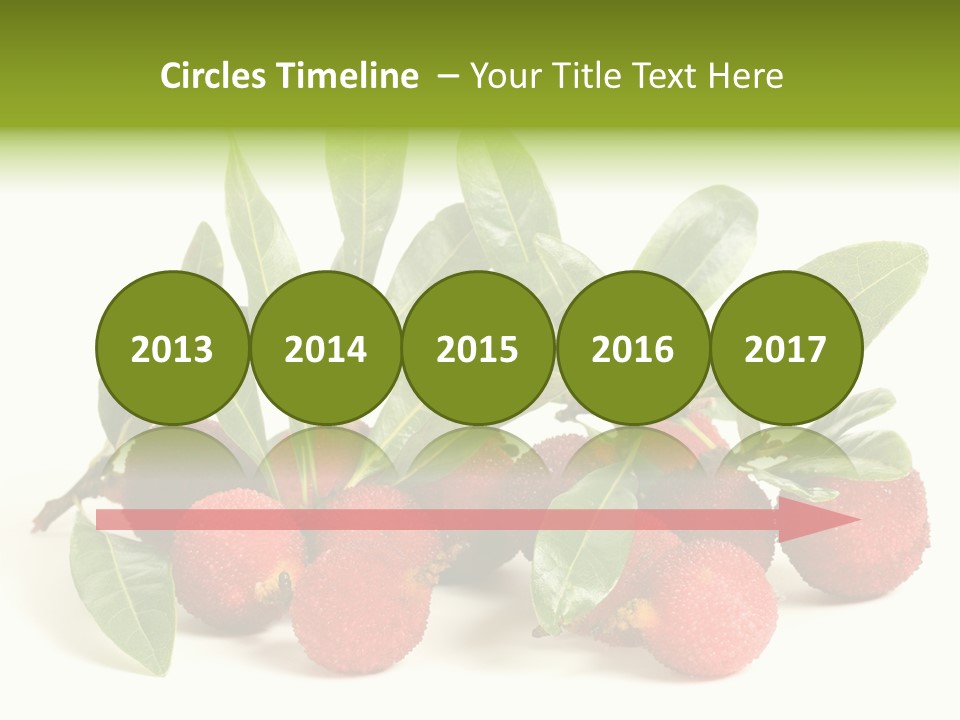 Leaf Waxberry Gourmet PowerPoint Template