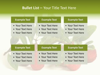 Leaf Waxberry Gourmet PowerPoint Template
