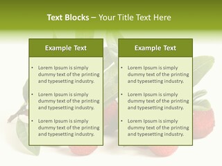 Leaf Waxberry Gourmet PowerPoint Template