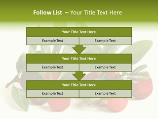 Leaf Waxberry Gourmet PowerPoint Template