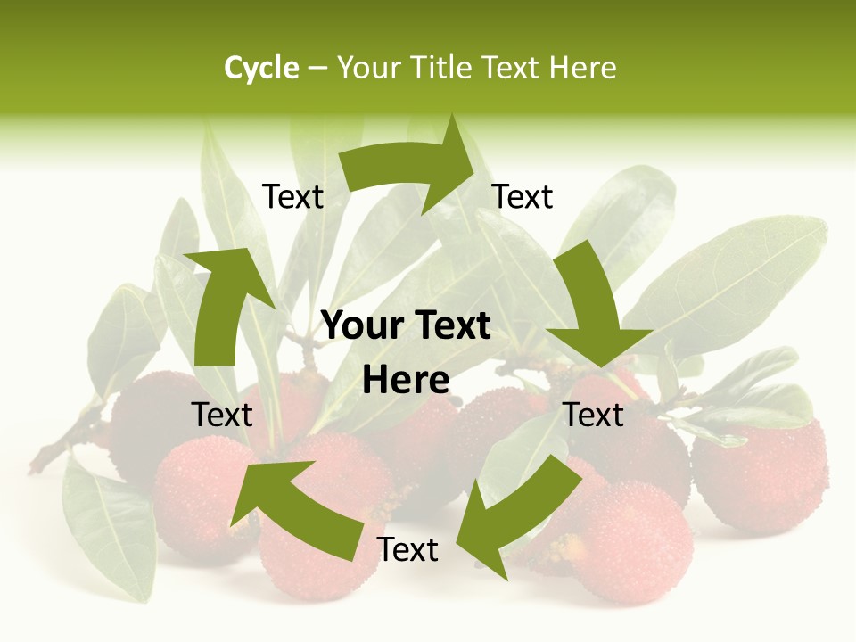 Leaf Waxberry Gourmet PowerPoint Template