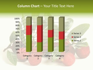 Leaf Waxberry Gourmet PowerPoint Template