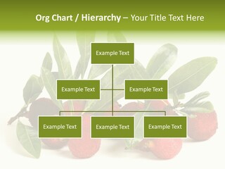 Leaf Waxberry Gourmet PowerPoint Template