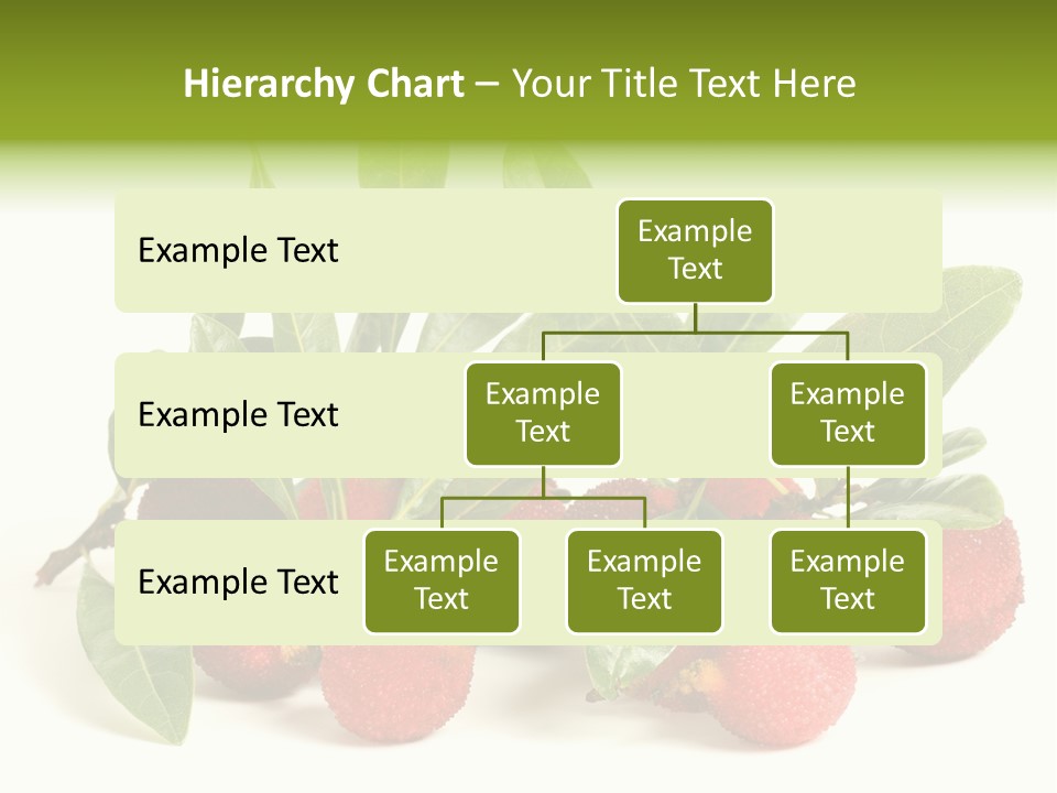 Leaf Waxberry Gourmet PowerPoint Template