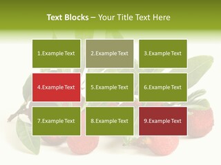 Leaf Waxberry Gourmet PowerPoint Template