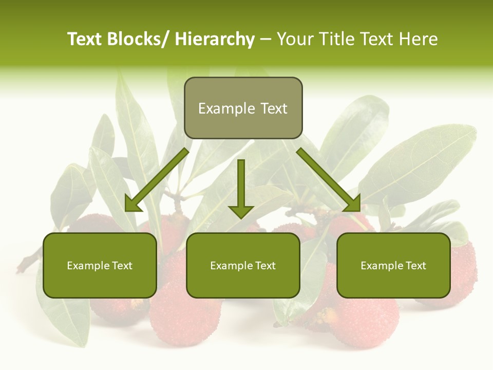 Leaf Waxberry Gourmet PowerPoint Template