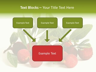 Leaf Waxberry Gourmet PowerPoint Template