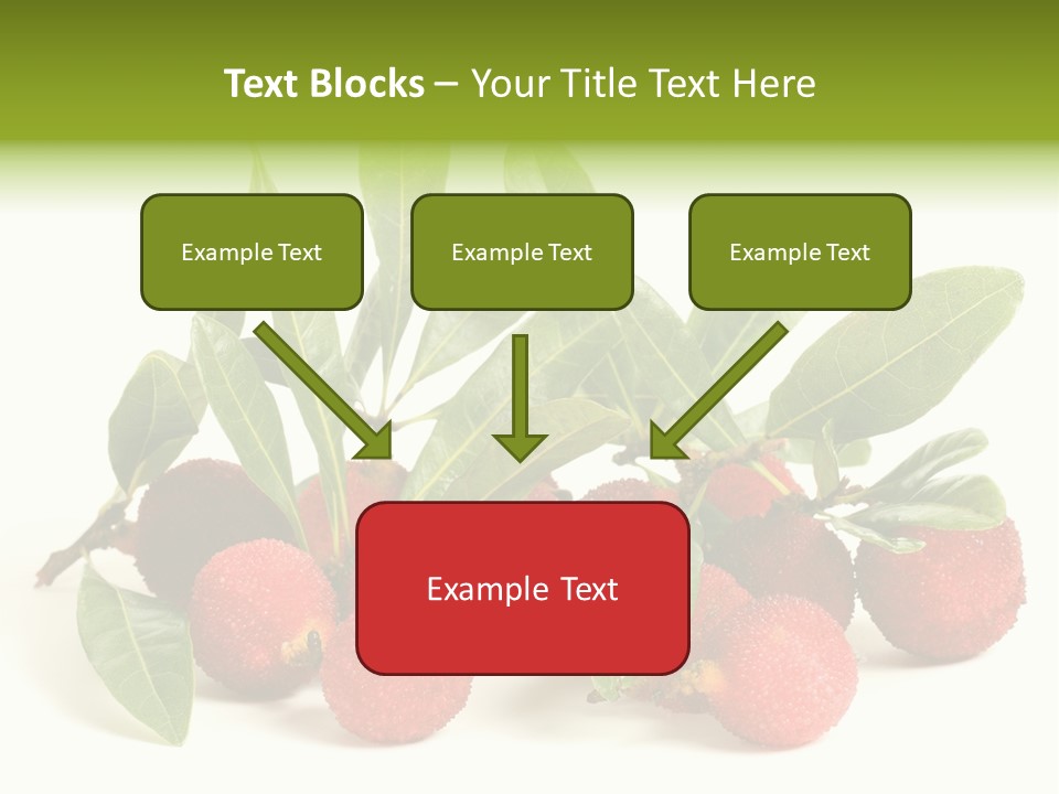 Leaf Waxberry Gourmet PowerPoint Template