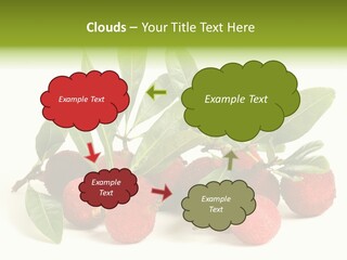 Leaf Waxberry Gourmet PowerPoint Template