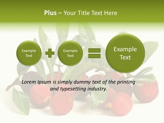Leaf Waxberry Gourmet PowerPoint Template