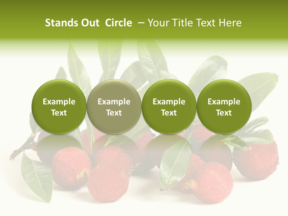 Leaf Waxberry Gourmet PowerPoint Template