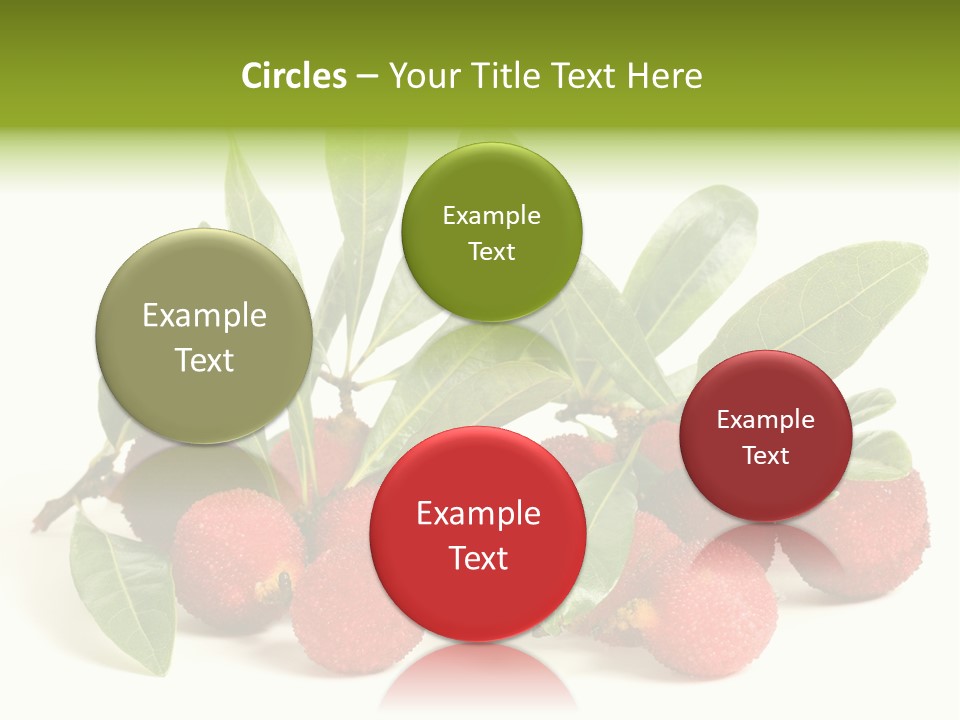 Leaf Waxberry Gourmet PowerPoint Template