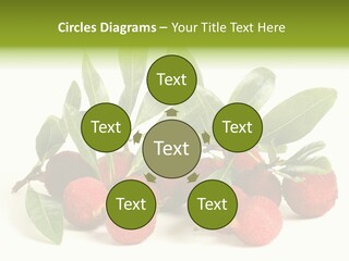 Leaf Waxberry Gourmet PowerPoint Template