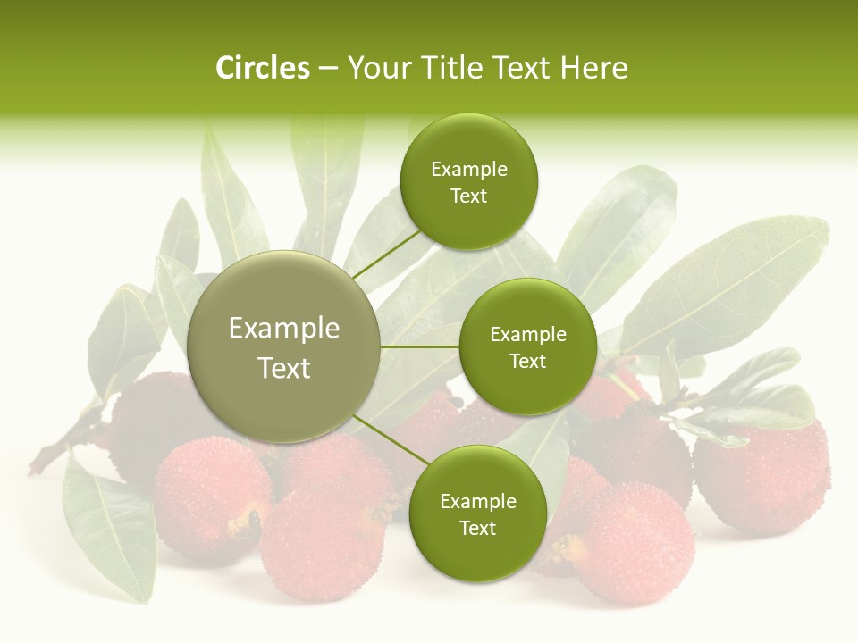 Leaf Waxberry Gourmet PowerPoint Template