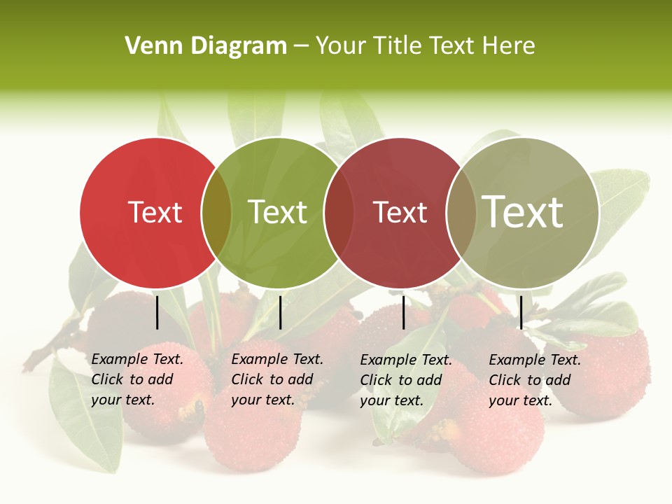 Leaf Waxberry Gourmet PowerPoint Template