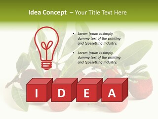 Leaf Waxberry Gourmet PowerPoint Template