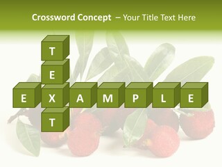 Leaf Waxberry Gourmet PowerPoint Template