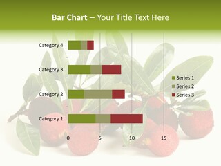 Leaf Waxberry Gourmet PowerPoint Template