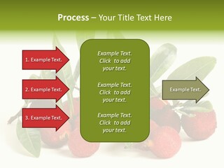 Leaf Waxberry Gourmet PowerPoint Template