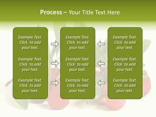 Leaf Waxberry Gourmet PowerPoint Template