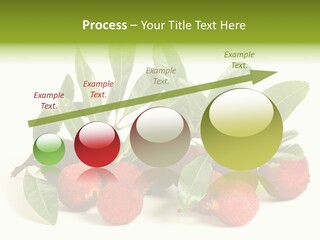 Leaf Waxberry Gourmet PowerPoint Template