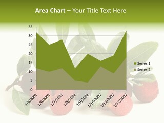 Leaf Waxberry Gourmet PowerPoint Template