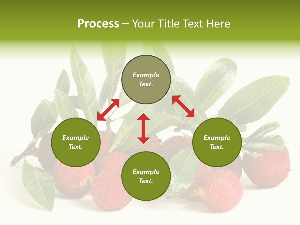 Leaf Waxberry Gourmet PowerPoint Template