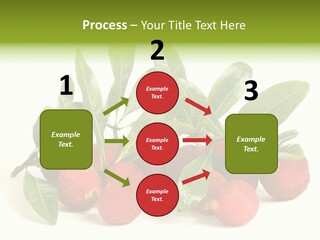 Leaf Waxberry Gourmet PowerPoint Template