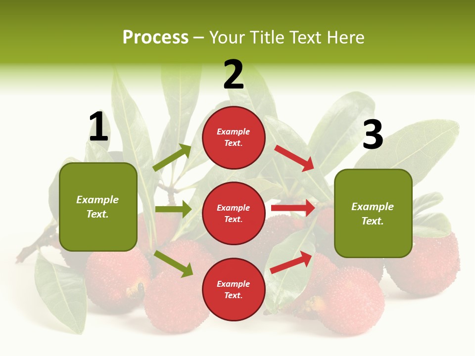 Leaf Waxberry Gourmet PowerPoint Template