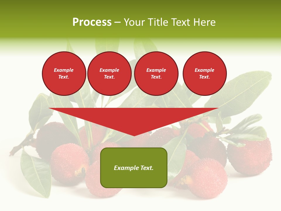 Leaf Waxberry Gourmet PowerPoint Template