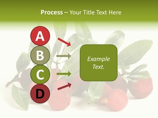 Leaf Waxberry Gourmet PowerPoint Template