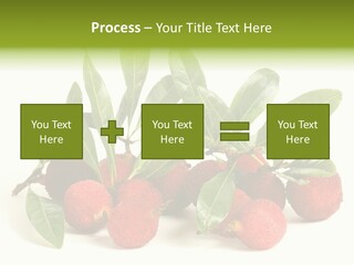 Leaf Waxberry Gourmet PowerPoint Template