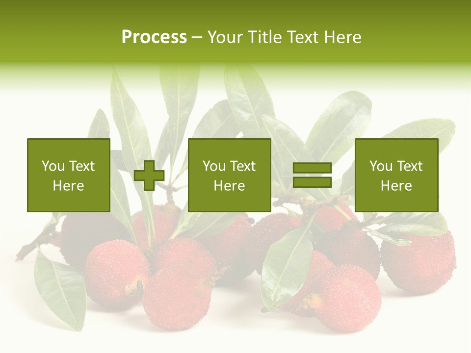 Leaf Waxberry Gourmet PowerPoint Template