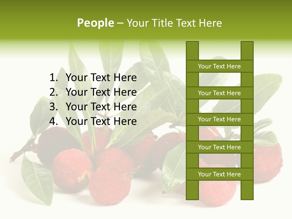 Leaf Waxberry Gourmet PowerPoint Template