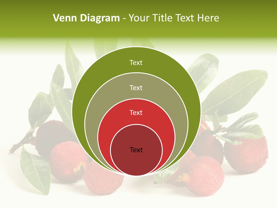 Leaf Waxberry Gourmet PowerPoint Template